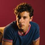 artist image Shawn Mendes In My Blood Shawn Mendes