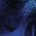 artist image DevilDriver End Of The Line The Fury of Our Maker's Hand