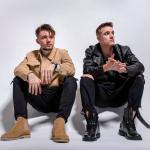 artist image ARTASH Дикая Львица(cover) Дикая львица - Single
