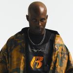 artist image DMX Party Up (Trap Remix) Live In Concert