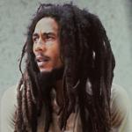 artist image Bob Marley & The Wailers Stir It Up Catch a Fire (Deluxe Edition)
