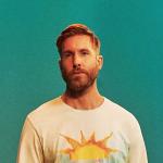 artist image Calvin Harris feat. Tinie Tempah Drinking from the Bottle 18 Months