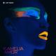 Kamelia - Amor (Remix)