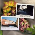 album image Твои друзья Середина грустных лет - EP