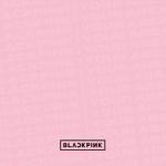 album image Forever Young (Instrumental) BLACKPINK IN YOUR AREA