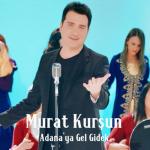 album image Adanaya gidek mi Adana'ya Gel Gidek - Single