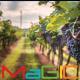 Formatia Magic - Italia