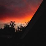 album image say goodbye feat. monty datta Say Goodbye - Single