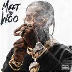album image Invincible Meet the Woo 2