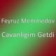Feyruz Memmedov - Cavanligim Getdi