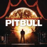 album image Feel This Moment (DJ Class RMX) (Extended Mix) Global Warming