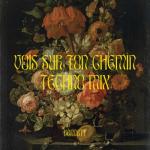 album image Vois sur ton chemin (Techno Mix) Vois sur ton chemin (Techno Mix)