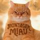 Lenar, Leonardo P - Montagem Miau